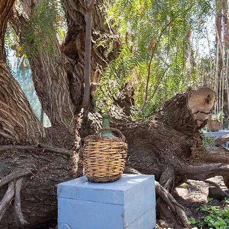 Διαμέρισμα Home2book Garden Haven Bbq, Classic & Cozy